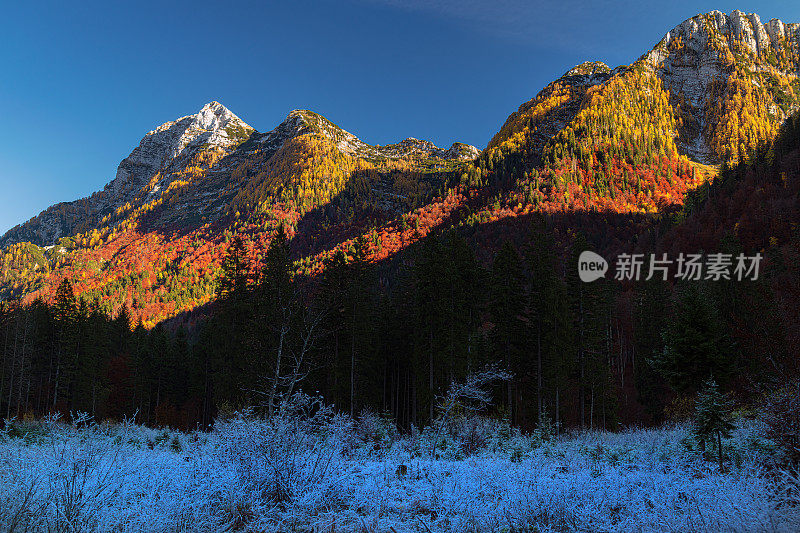 与Sella Nevea，秋天的落叶松，朱利安阿尔卑斯山，意大利，欧洲的杰里比卡山的观点